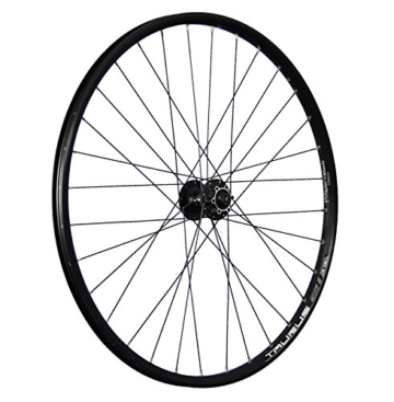 Taylor-Wheels 29 Zoll Vorderrad Ryde Taurus21 HB-M475 6L Disc schwarz - 2